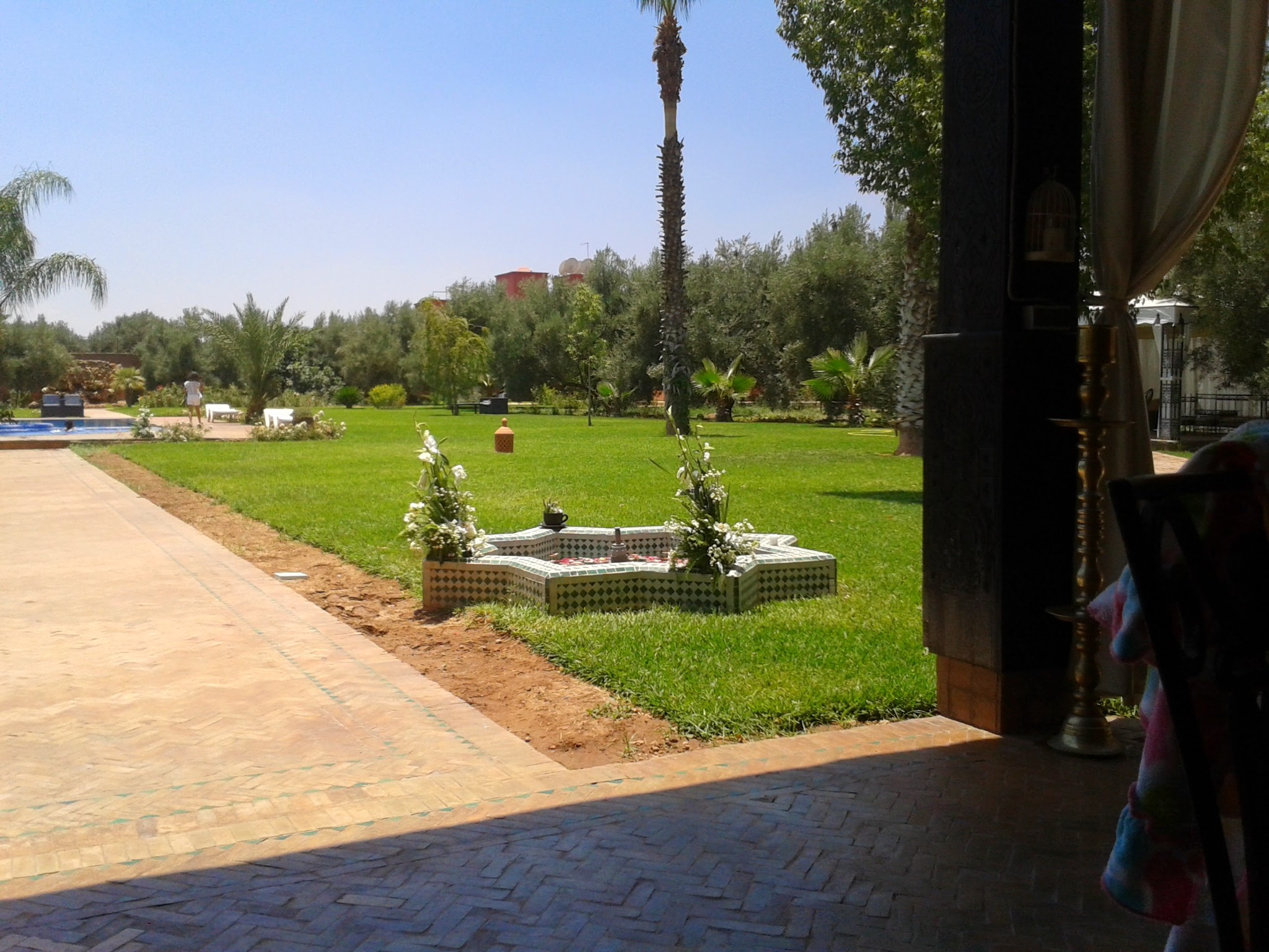 Jardin résidentiel entretenu