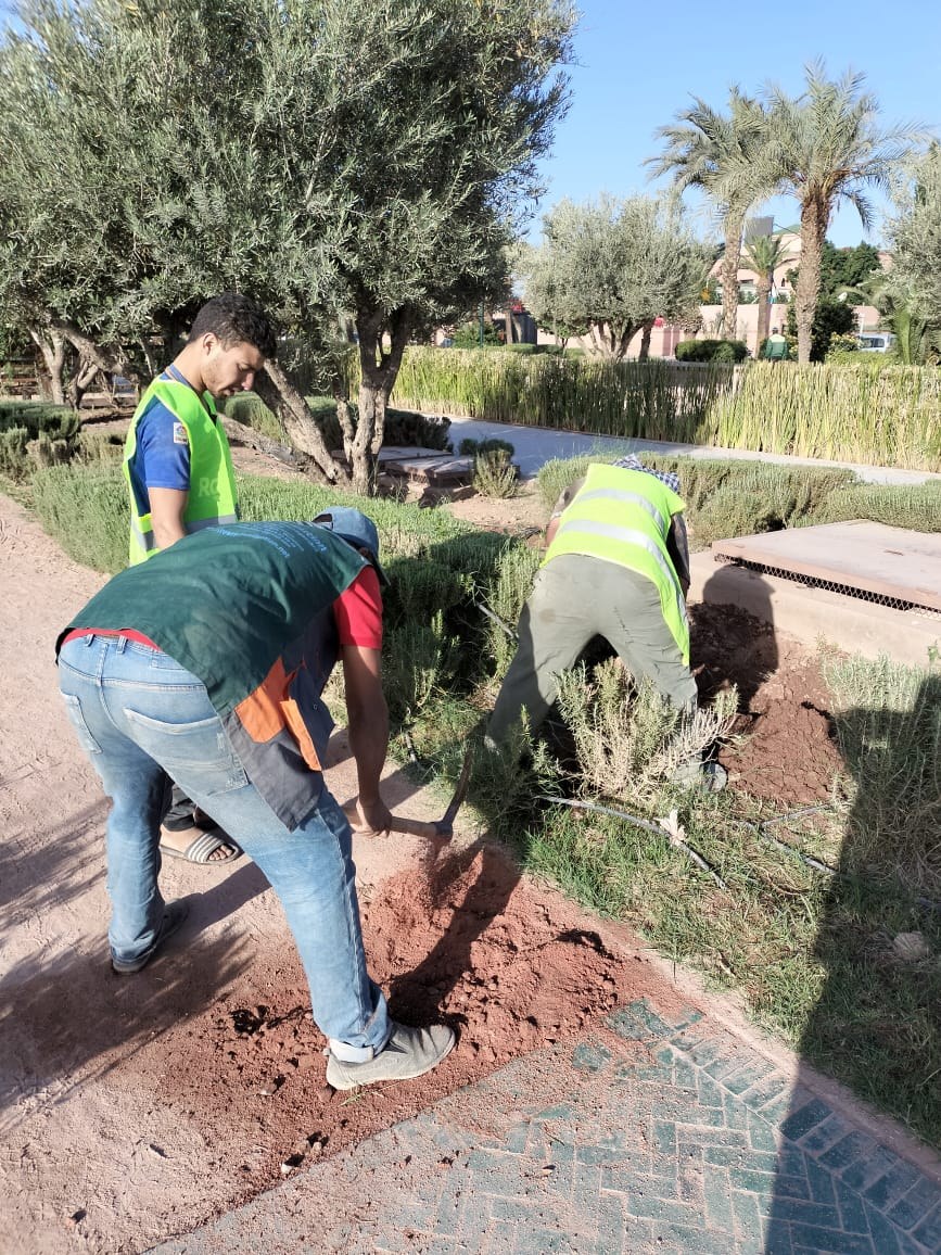 Équipe SACH VAC MAROC en intervention paysagère